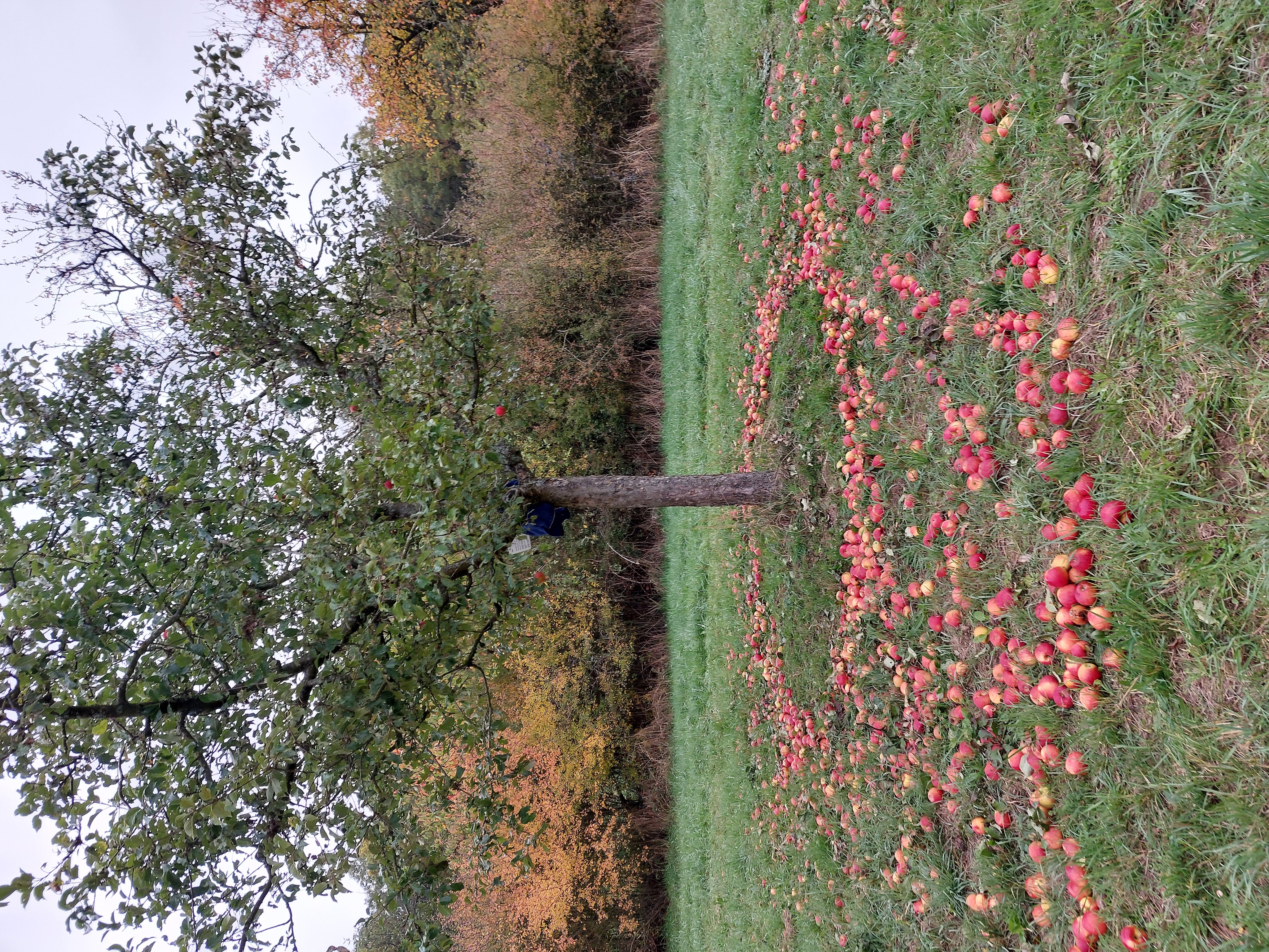 Leider haben wir keinen Alternativtext zu diesem Bild, aber wir arbeiten daran.