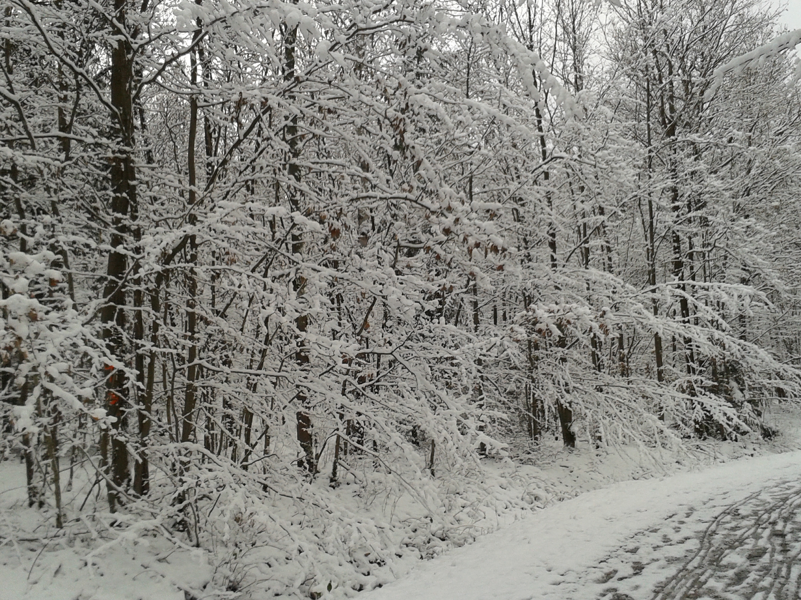 Landkreis Bamberg warnt vor herabstürzenden Schneelasten